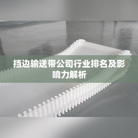 挡边输送带公司行业排名及影响力解析
