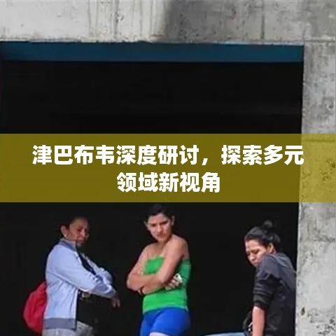津巴布韦深度研讨，探索多元领域新视角