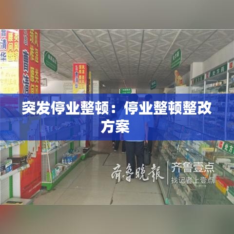 突发停业整顿：停业整顿整改方案 