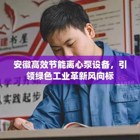 安徽高效节能离心泵设备，引领绿色工业革新风向标