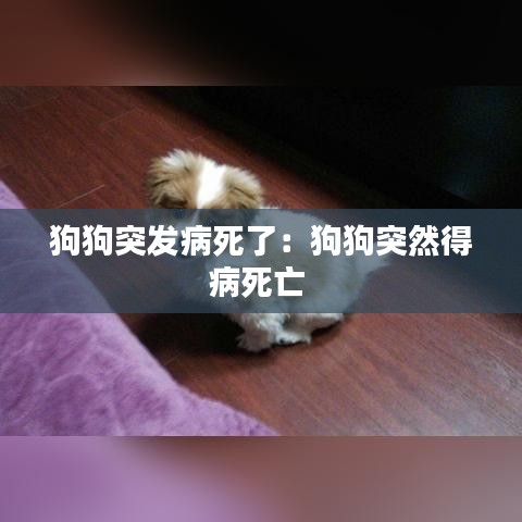 狗狗突发病死了：狗狗突然得病死亡 