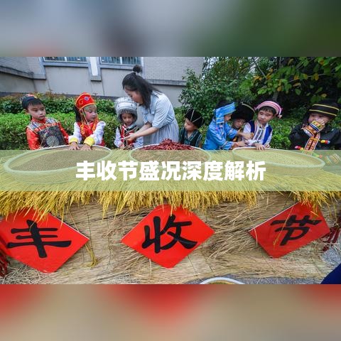 丰收节盛况深度解析