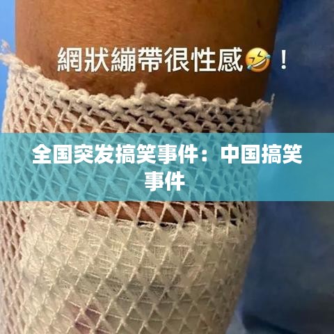 改弦易张 第2页