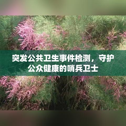 洞天福地 第2页