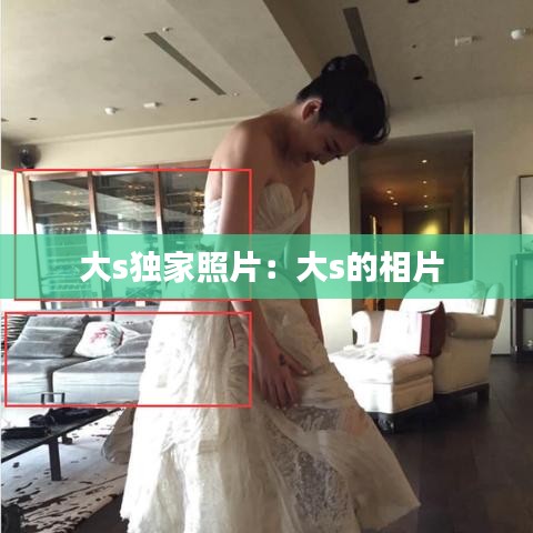 大s独家照片：大s的相片 
