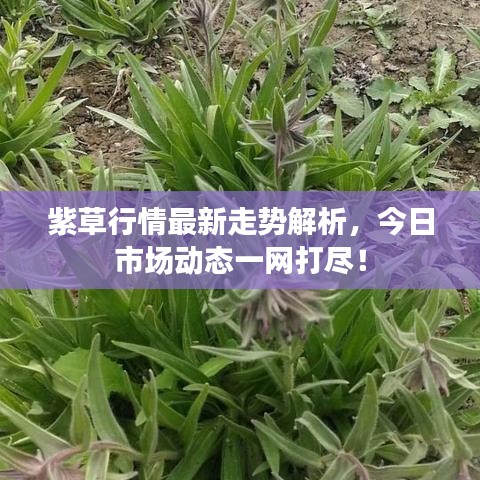 去故就新 第2页