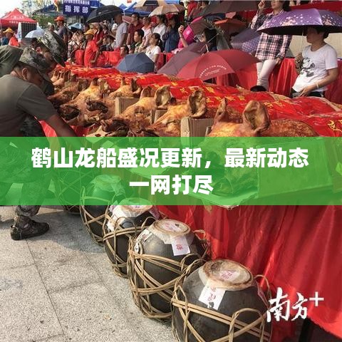 鹤山龙船盛况更新，最新动态一网打尽