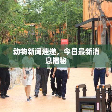 动物新闻速递，今日最新消息揭秘