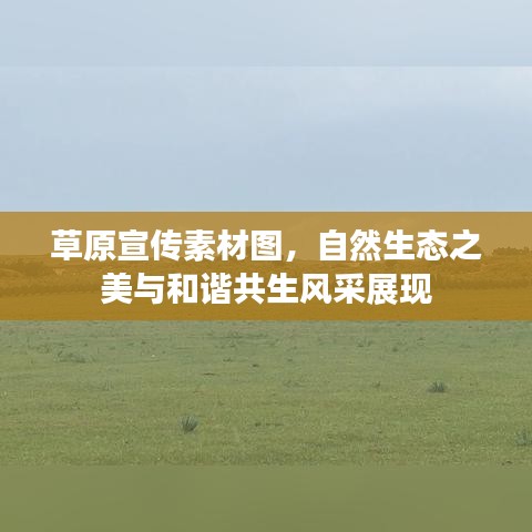 草原宣传素材图，自然生态之美与和谐共生风采展现