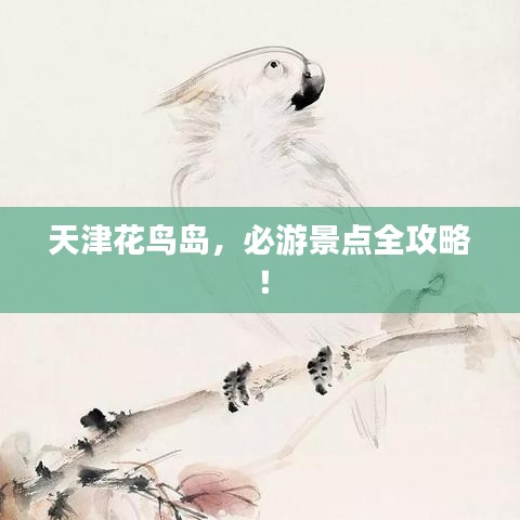 天津花鸟岛，必游景点全攻略！