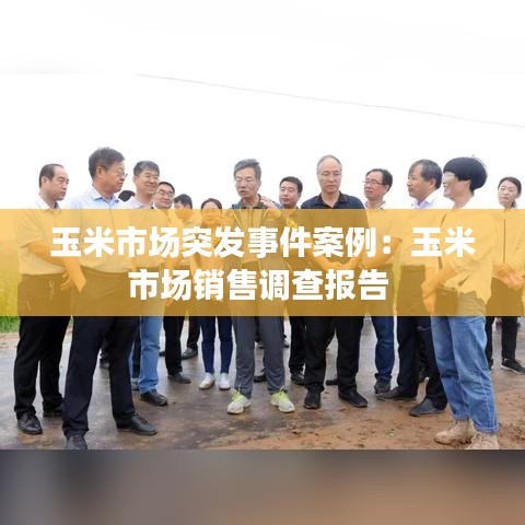 玉米市场突发事件案例：玉米市场销售调查报告 