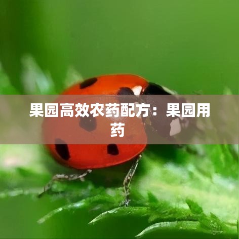 果园高效农药配方：果园用药 