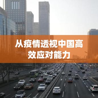 从疫情透视中国高效应对能力