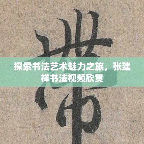 探索书法艺术魅力之旅，张建祥书法视频欣赏