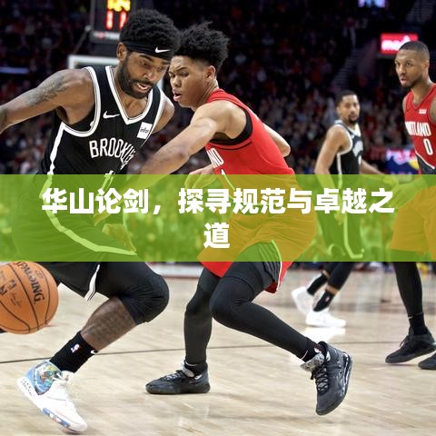 华山论剑，探寻规范与卓越之道