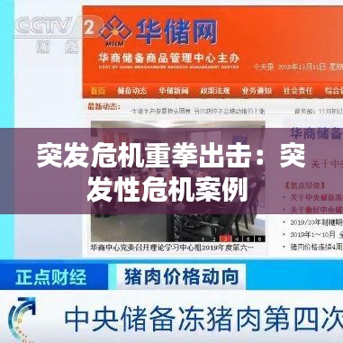 突发危机重拳出击：突发性危机案例 
