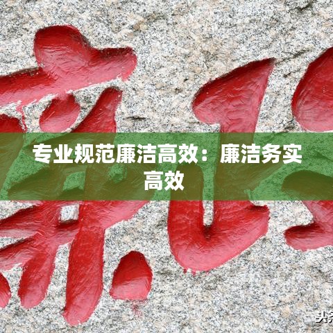 专业规范廉洁高效：廉洁务实高效 