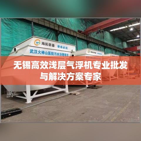无锡高效浅层气浮机专业批发与解决方案专家
