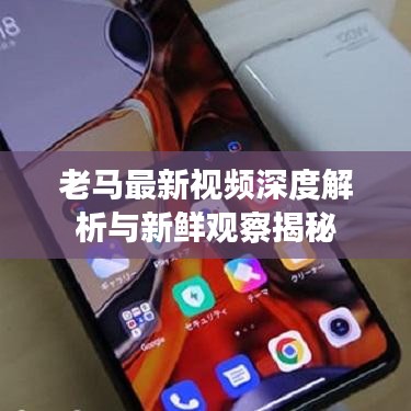 老马最新视频深度解析与新鲜观察揭秘