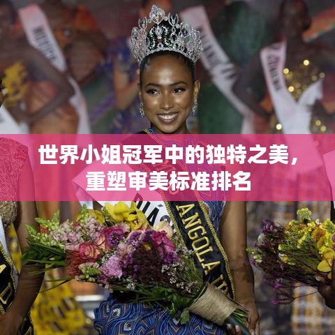 世界小姐冠军中的独特之美，重塑审美标准排名