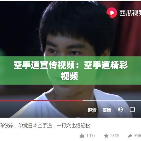 越鸟南栖 第2页