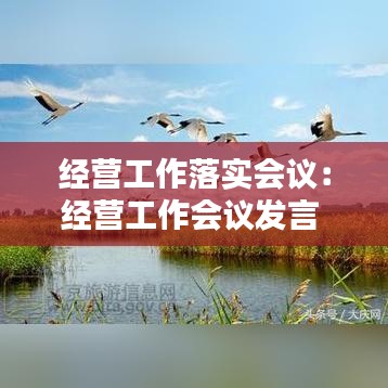 经营工作落实会议：经营工作会议发言 