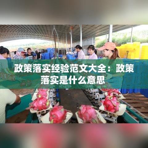 政策落实经验范文大全：政策落实是什么意思 
