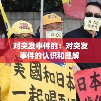 对突发事件的：对突发事件的认识和理解 