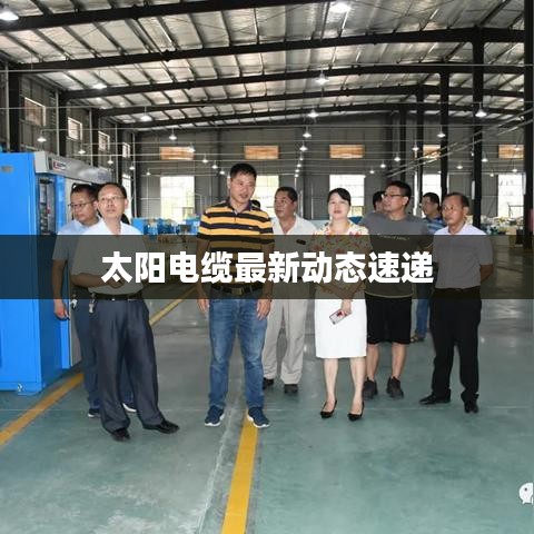 太阳电缆最新动态速递