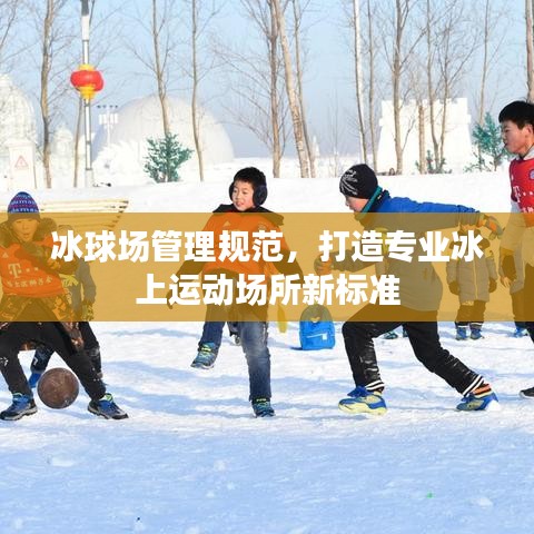 冰球场管理规范，打造专业冰上运动场所新标准
