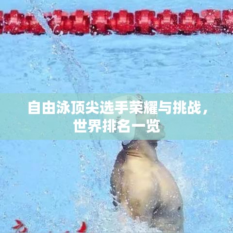 自由泳顶尖选手荣耀与挑战，世界排名一览