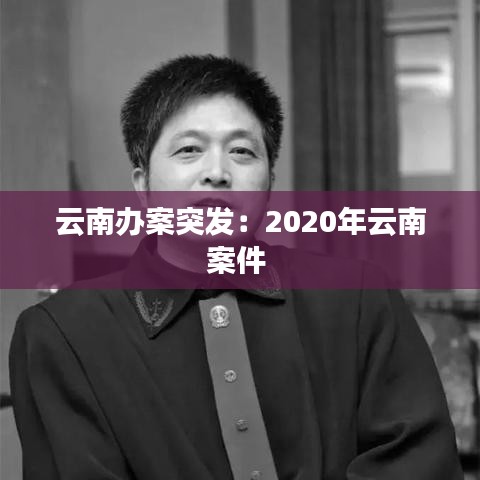 云南办案突发：2020年云南案件 