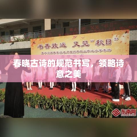 春晓古诗的规范书写，领略诗意之美