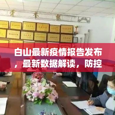 白山最新疫情报告发布，最新数据解读，防控形势分析！