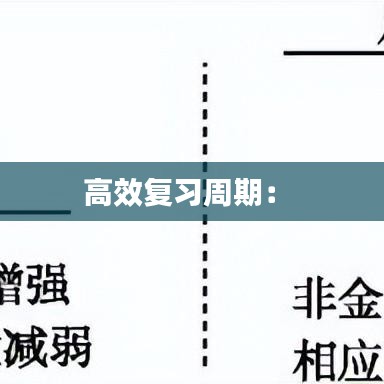 高效复习周期： 