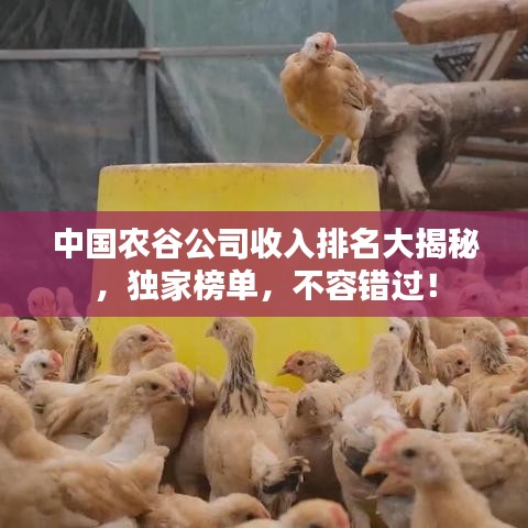 中国农谷公司收入排名大揭秘，独家榜单，不容错过！
