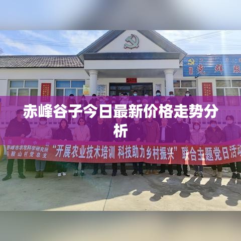 赤峰谷子今日最新价格走势分析