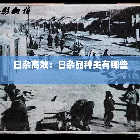 日杂高效：日杂品种类有哪些 