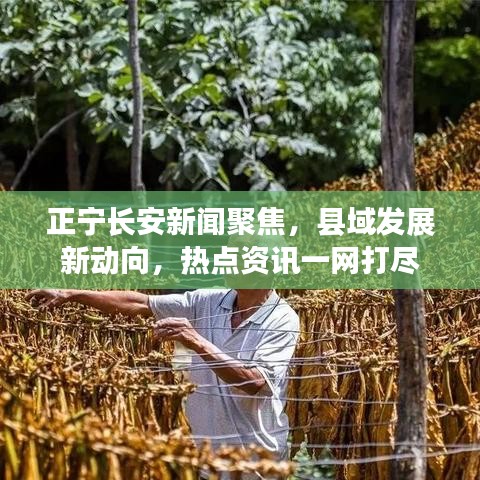 正宁长安新闻聚焦，县域发展新动向，热点资讯一网打尽