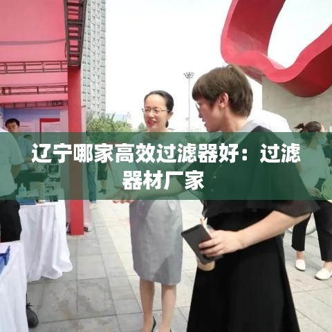 辽宁哪家高效过滤器好：过滤器材厂家 