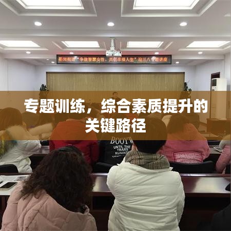 专题训练，综合素质提升的关键路径