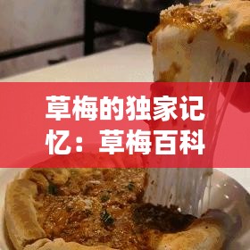 草梅的独家记忆：草梅百科 