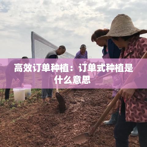 高效订单种植：订单式种植是什么意思 