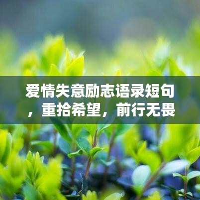 爱情失意励志语录短句，重拾希望，前行无畏