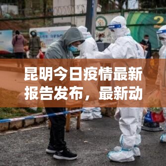 昆明今日疫情最新报告发布，最新动态与数据更新