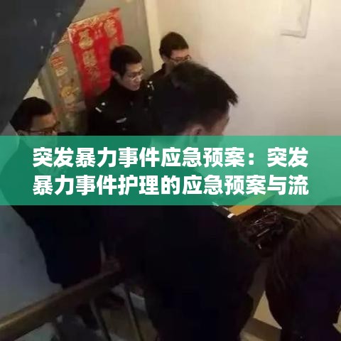 突发暴力事件应急预案：突发暴力事件护理的应急预案与流程 