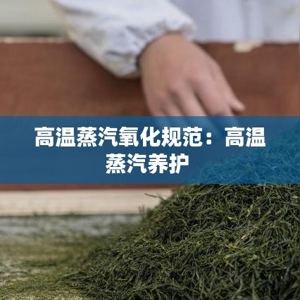 高温蒸汽氧化规范：高温蒸汽养护 