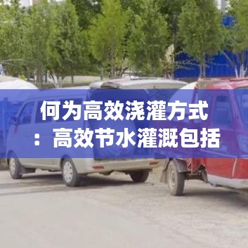 何为高效浇灌方式：高效节水灌溉包括哪些 