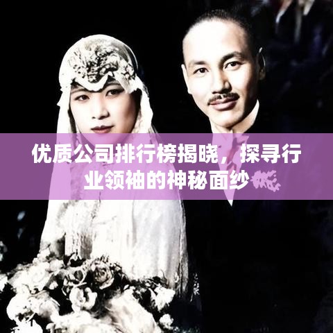 优质公司排行榜揭晓，探寻行业领袖的神秘面纱