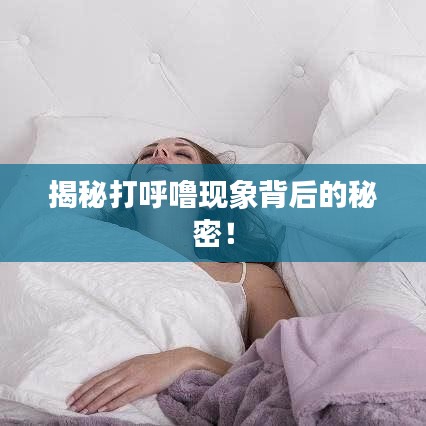 揭秘打呼噜现象背后的秘密！
